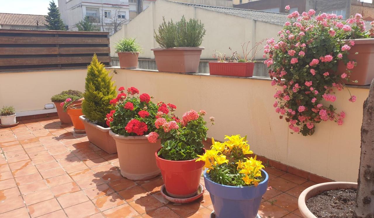 Apartamento Vilallonga 菲格拉斯 外观 照片